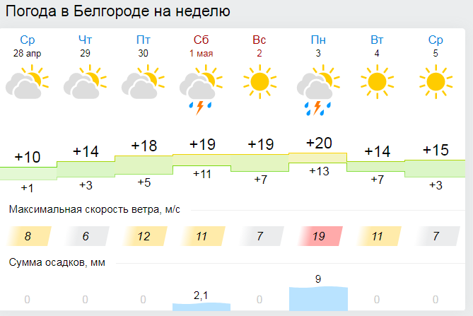 Прогноз погоды белгород февраль. Синоптик Белгород. Погода в Белгороде сегодня. Температура Белгородская область. Погода в Белгороде на завтра.