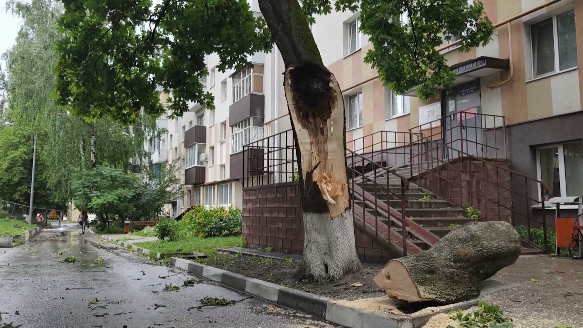 В Белгороде устраняют последствия урагана