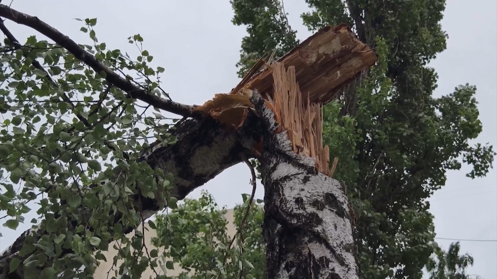 Вячеслав Гладков рассказал о последствиях урагана в Белгородской области